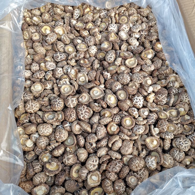 椴木花菇干货 精选无碎云南山珍100克非特级香菇香味浓郁正品保障 - 图1