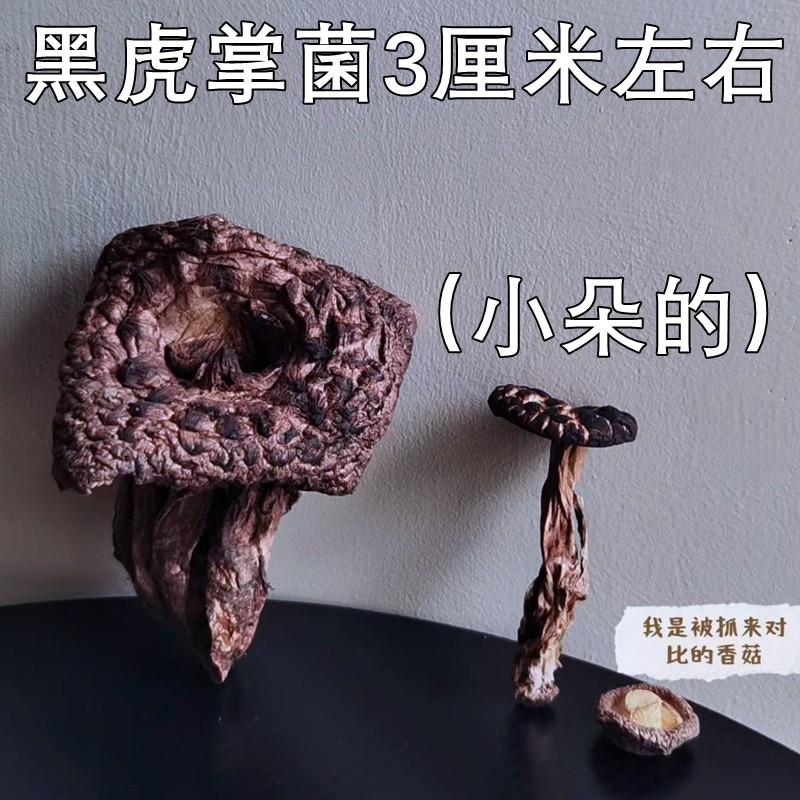 野生黑虎掌菌干货非新鲜山珍美食异香浓郁味道鲜美稀有云南菌子,淘宝优惠券,粉丝福利购,淘宝优惠卷