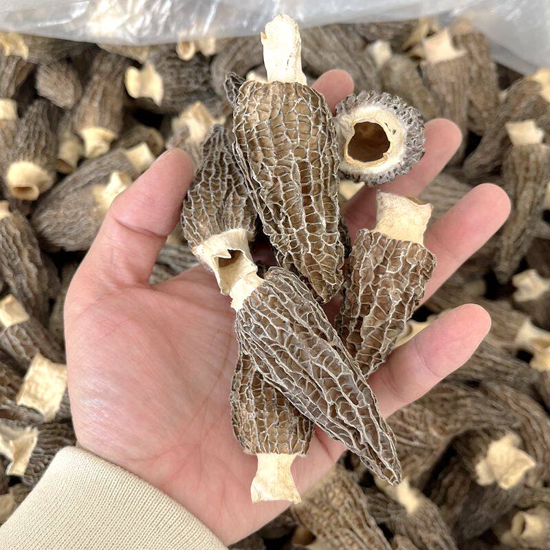 羊肚菌干货肉厚 云南山珍煲汤食材礼盒非新鲜特级野生云南菌子,淘宝优惠券,粉丝福利购,淘宝优惠卷