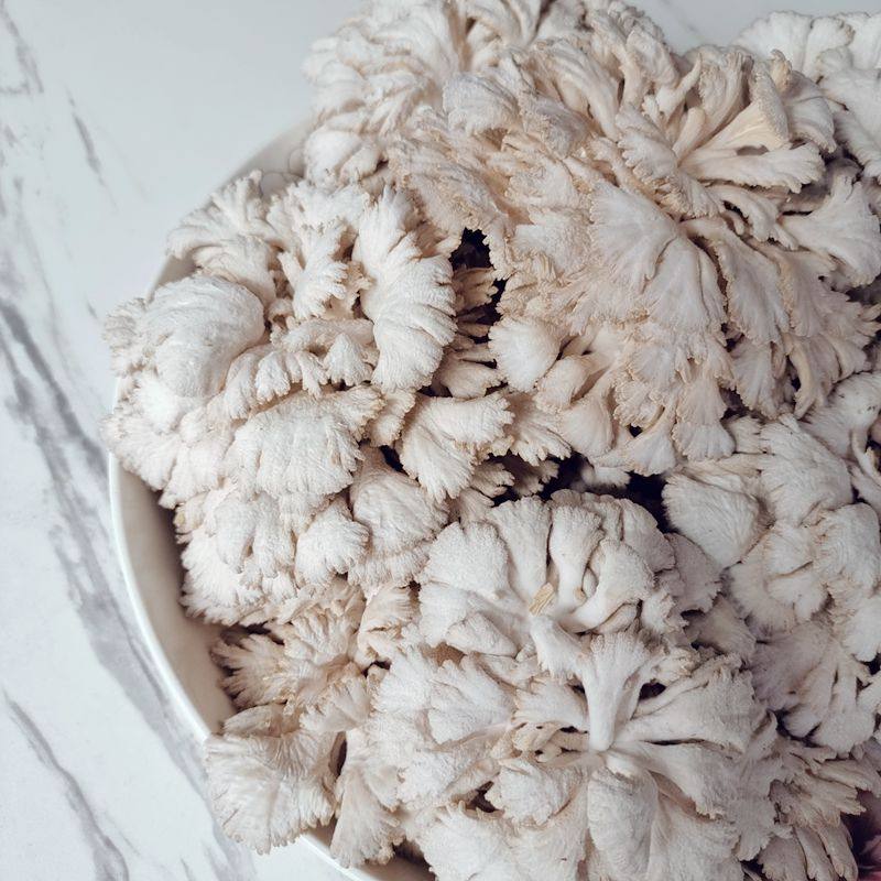 White ginseng, fresh Yunnan seasonal mushrooms and vegetables