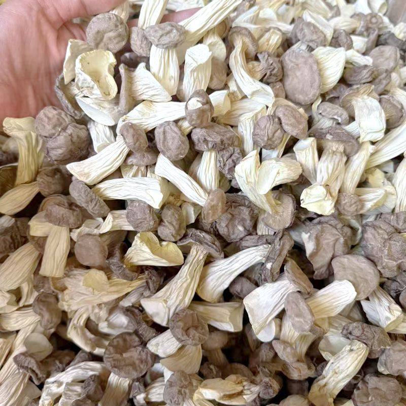 长寿菇干货 非新鲜香菇云南菌菇山珍美食农产品云南野生菌菇滋补,淘宝优惠券,粉丝福利购,淘宝优惠卷