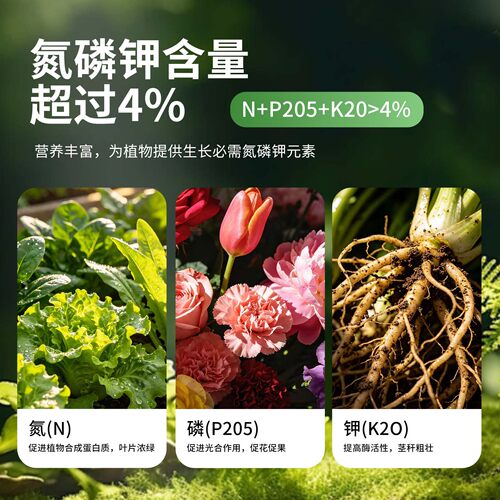 中古内蒙古风干纯羊粪发酵有机肥营养土养花通用花卉专用多肉肥 - 图3
