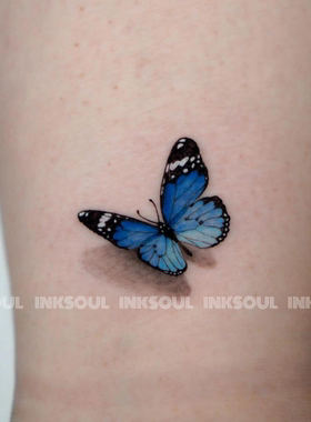 INKSOUL青花蝶梦纯欲幽蓝蝴蝶贴