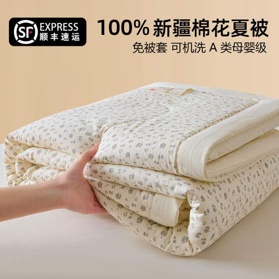 Class A summer quilt Xinjiang cotton quilt 100% cotton summer cool quilt