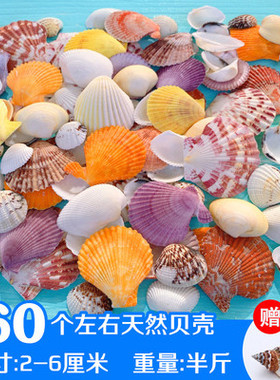 包邮地台diy漂流瓶套装海螺贝壳