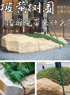 柏坡黄树围石太行金景石驳岸庭院置石定制树围水钵景观石来图定制