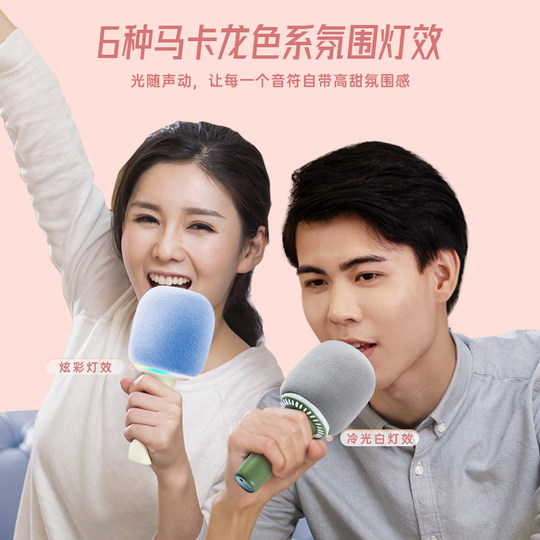 Government subsidizes Elvis Presley Audio Lollipop Microphone