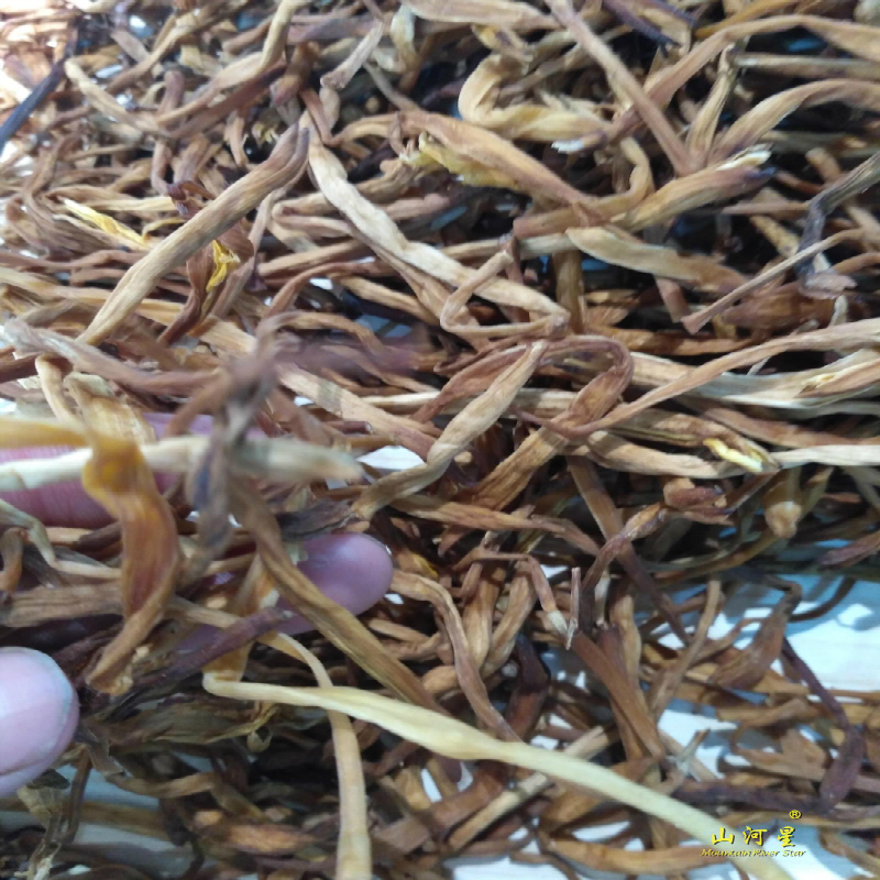 山河星 兰花苗 萱草忘忧草黄花菜 金针花 种苗 福建野草花卉绿植