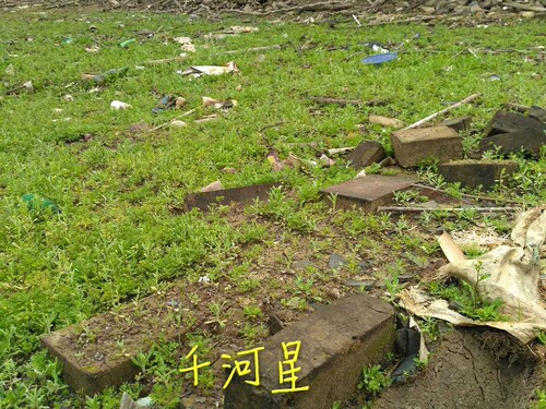 千河星青砖头古代建筑明代乾隆旅游景区收藏古玩古董孤品历史文化 - 图1