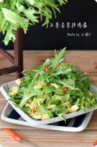 特新鲜蔬菜苦菊 苦苣菜苦叶狗牙生菜沙拉菜西餐配料 沙拉生菜250g - 图1