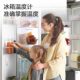 Deli thermometer refrigerator for freezer