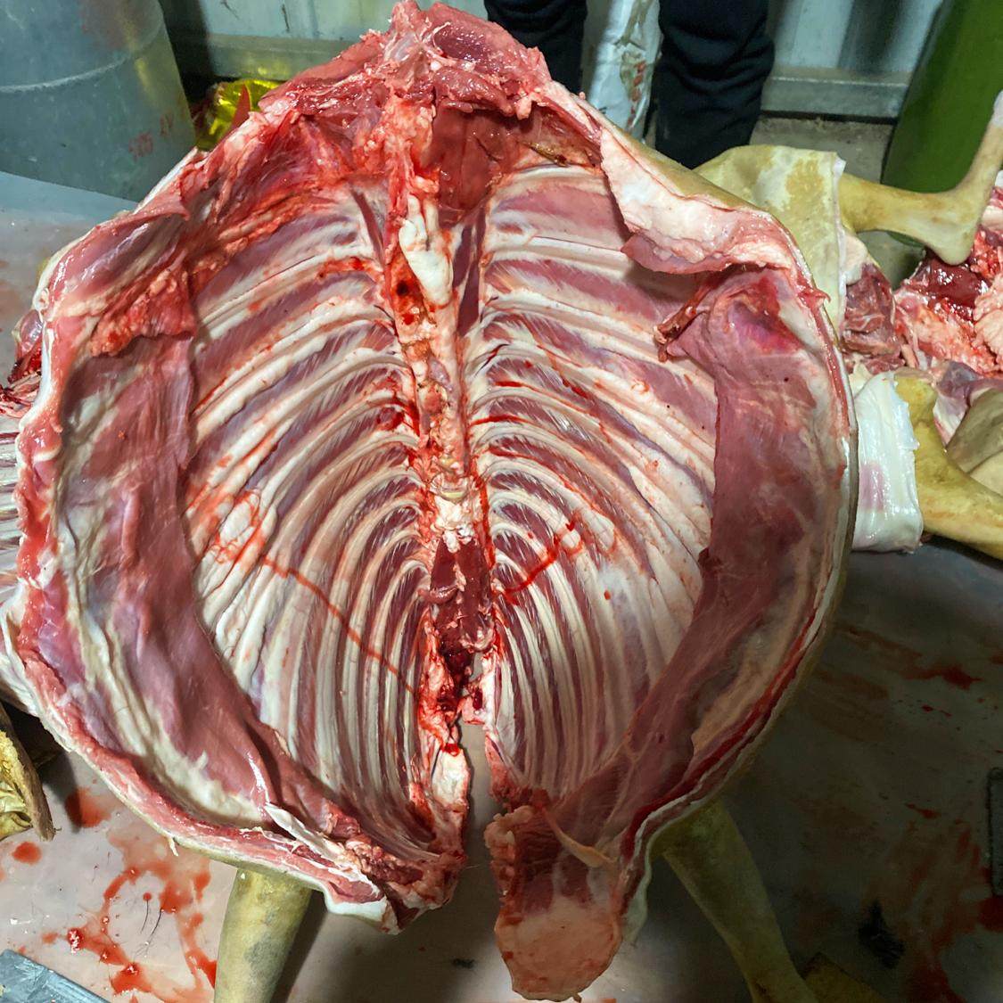 新鲜现杀散养南江黄羊肉带皮羊腿羊排羊腩羊蝎羊杂山羊肉5斤特产,淘宝优惠券,粉丝福利购,淘宝优惠卷