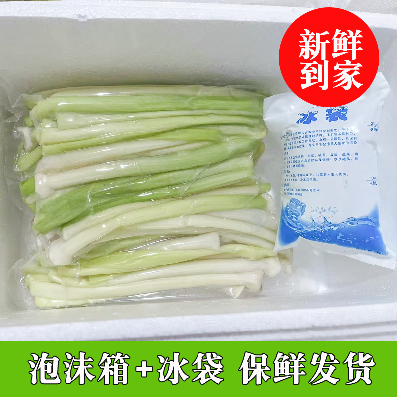 新鲜野生蒲菜蒲白时令野菜淮安特产现摘现发蒲笋蒲儿菜净菜 - 图1