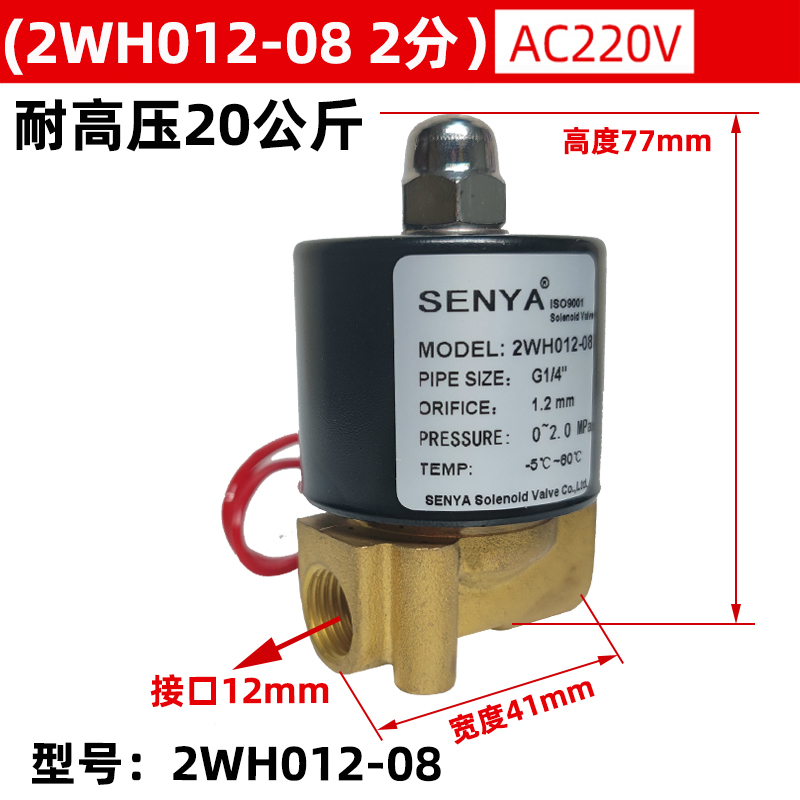 高压电磁阀8MPa20公斤80KG120公斤2分3分4分气阀AC220VDC24VDC12V - 图0