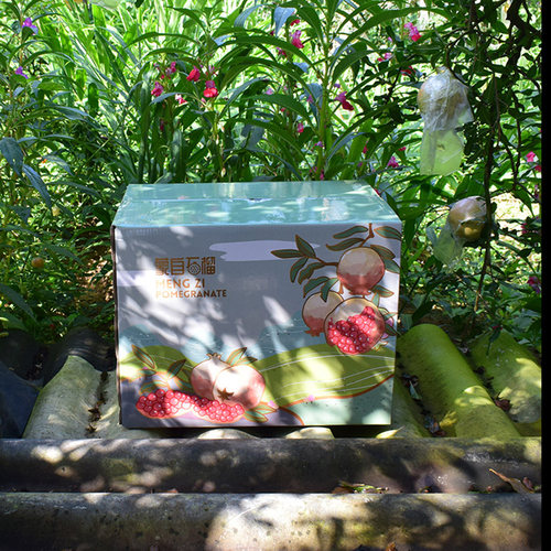 云南蒙自老品种薄皮绿籽水晶特大甜石榴新鲜水果9斤9~10枚 - 图1