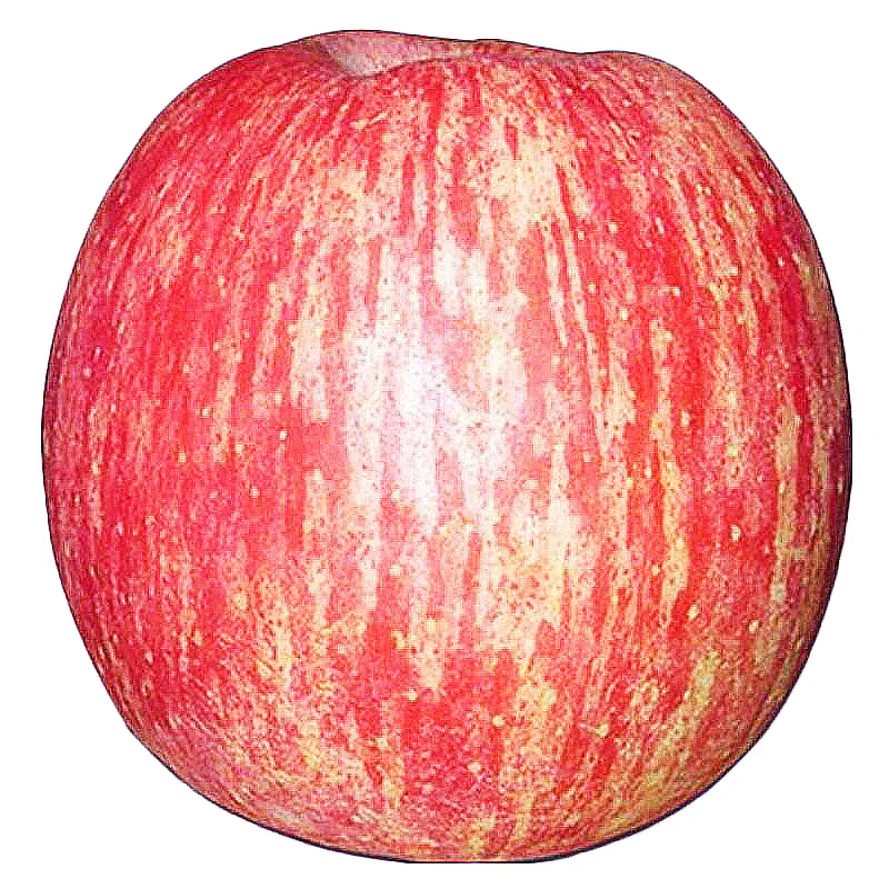 正宗陕西洛川苹果新鲜水果当季红富士冰糖心特级包甜整箱包邮大果,淘宝优惠券,粉丝福利购,淘宝优惠卷