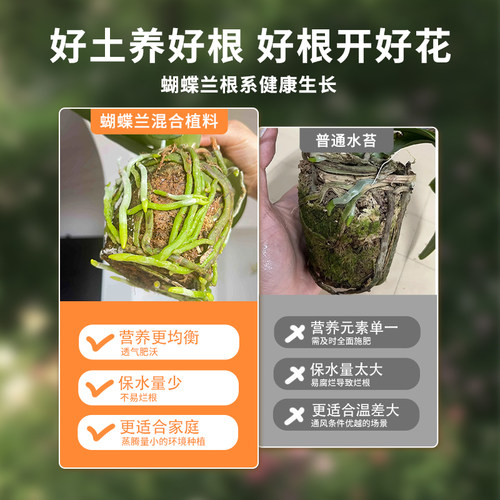 蝴蝶兰专用土透气松树皮毛毛虫水苔混合种植料颗粒文心石斛兰花土 - 图0