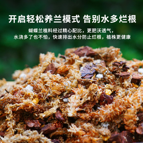 蝴蝶兰专用土透气松树皮毛毛虫水苔混合种植料颗粒文心石斛兰花土 - 图2