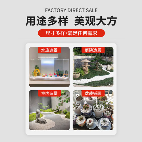 白石子天然鹅卵石雨花石多肉盆栽铺面庭院造景花盆装饰白色小石头 - 图0