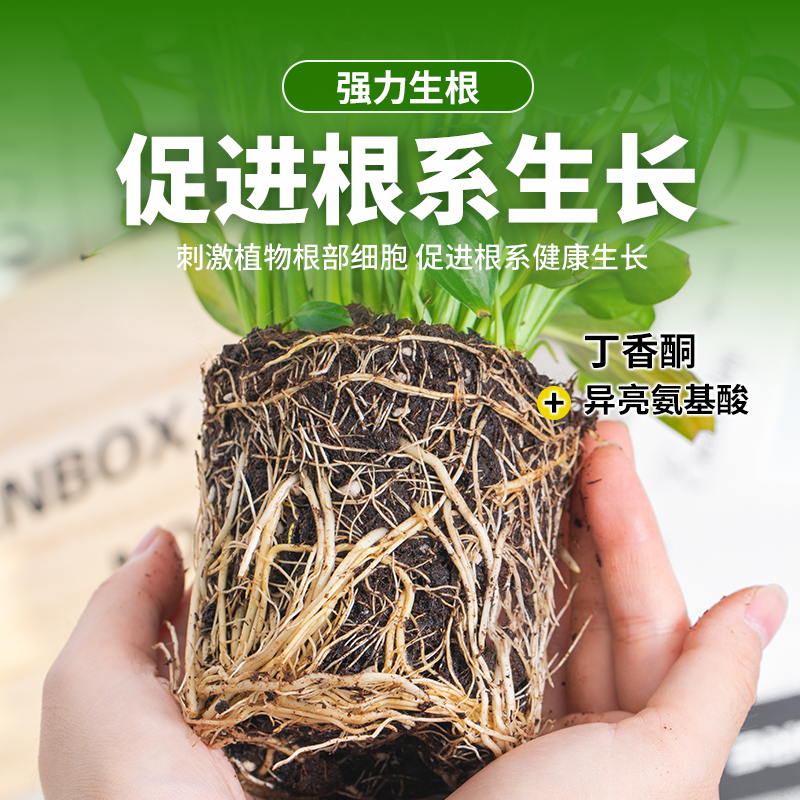 生根粉植物通用型生根剂强根壮苗果树移栽种花种菜扦插专用营养液,淘宝优惠券,粉丝福利购,淘宝优惠卷