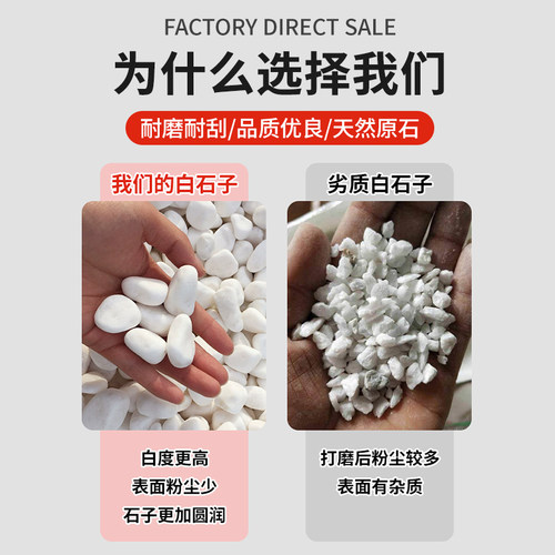 白石子天然鹅卵石雨花石多肉盆栽铺面庭院造景花盆装饰白色小石头 - 图2
