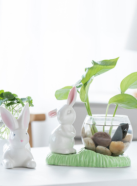 花瓶绿萝植物器皿客厅餐桌摆件