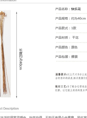50支思绪迷你进口兔尾巴小花束