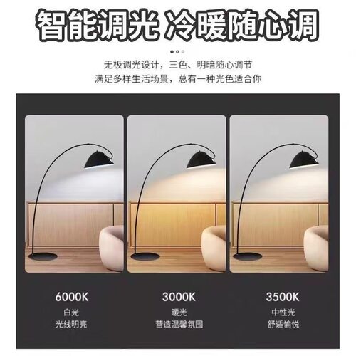 护眼极简钓鱼落地灯客厅北欧现代沙发边角氛围轻奢艺术立式落地灯 - 图1