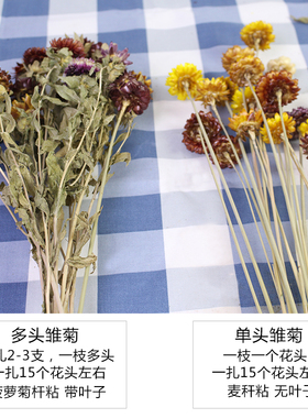 田园云南拍摄道具店铺七彩菊干花