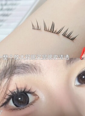 10倍放大双眼~蓝眼泪假睫毛书