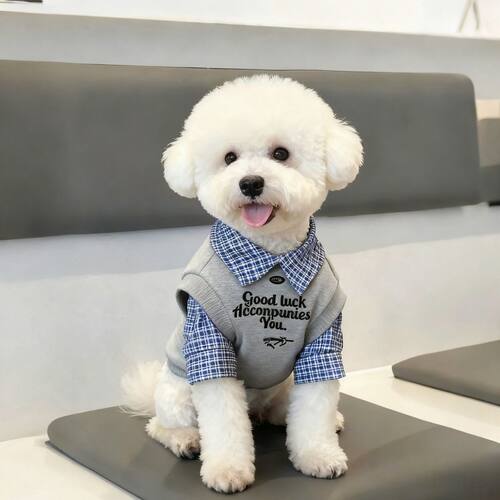 小狗衣服假两件拼色Polo衫宠物秋冬雪纳瑞比熊泰迪中小型犬两脚衣 - 图2