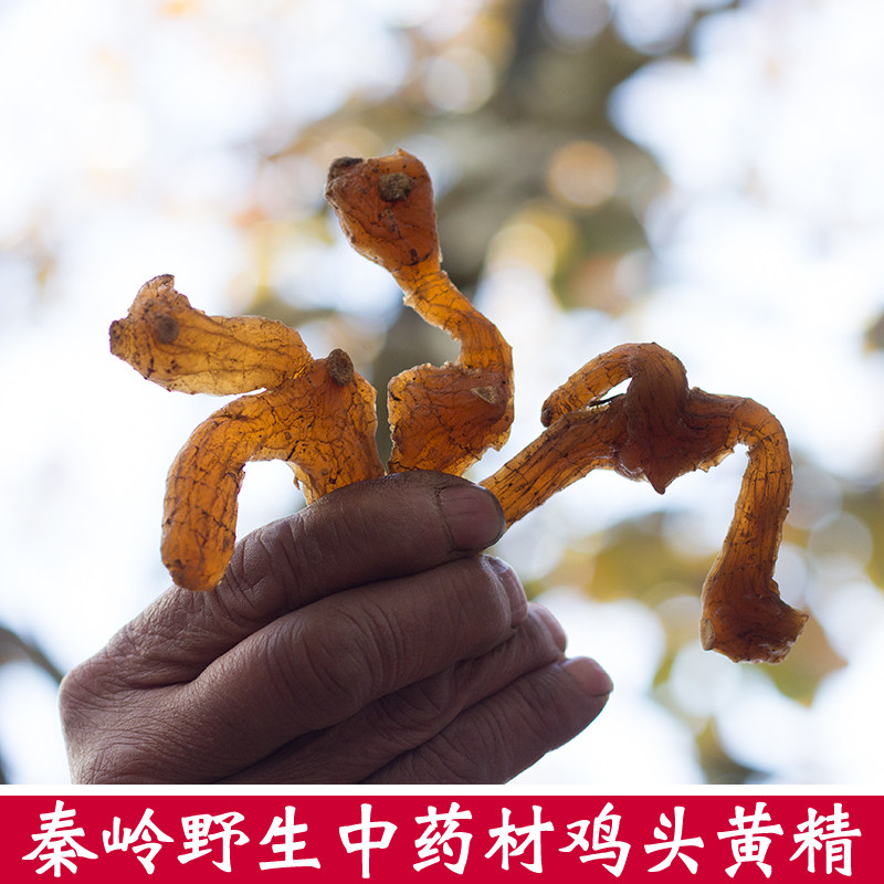 秦岭野生黄精中药材干货正品泡茶泡酒料非九蒸九晒制鸡头黄精500g