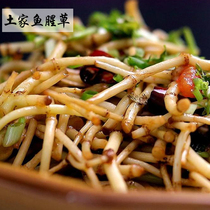 Hubei Enshi Tutor Nutritional Wild Vegetable Native houthone Houta Farmhouse Dug for a Cold Mix of the Cold Dish