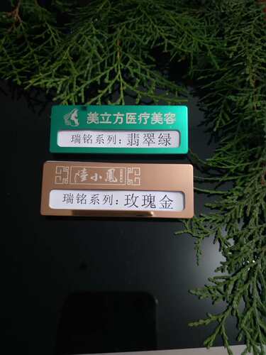 酒店工牌定做公司工号牌定制不锈钢胸牌定做金属LOGO高档号牌等 - 图2