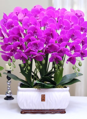 特大号仿真花高档手感蝴蝶兰客厅装饰电视柜玄关假花冰箱茶几摆设