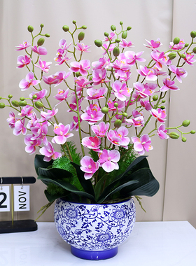 仿真花高档保湿手感蝴蝶兰客厅电视柜装饰花餐厅茶几假花玄关摆件