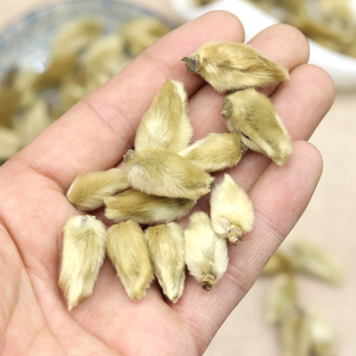 辛夷花 天然纯新货 中药材 无硫 木笔 望春玉兰 500克 毛桃玉兰花 - 图2