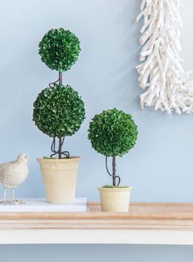 装饰室内电视柜盆景仿真盆栽