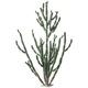 Simulated cactus plant landscaping interior decoration ornaments