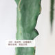 Simulated agave green plants decorative potted plants for landscaping