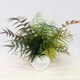Simulated ferns, fake plants, fake grass, green plants, landscaping decoration