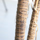 Simulated yucca tree potted green plants landscaping tropical plants