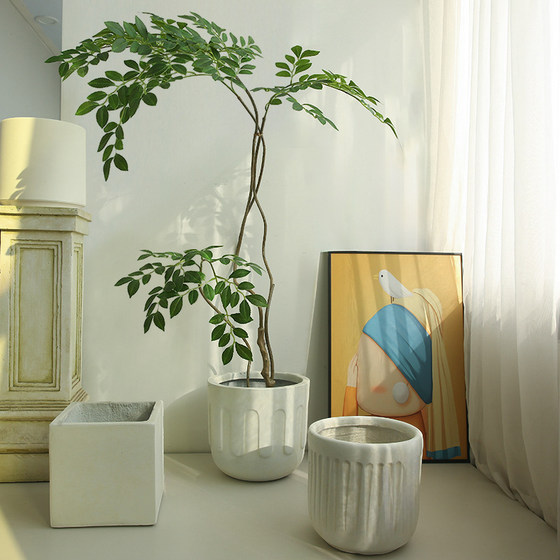 Old cement large flower pot and large diameter floor-standing flower vessel