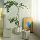 Old cement large flower pot and large diameter floor-standing flower vessel