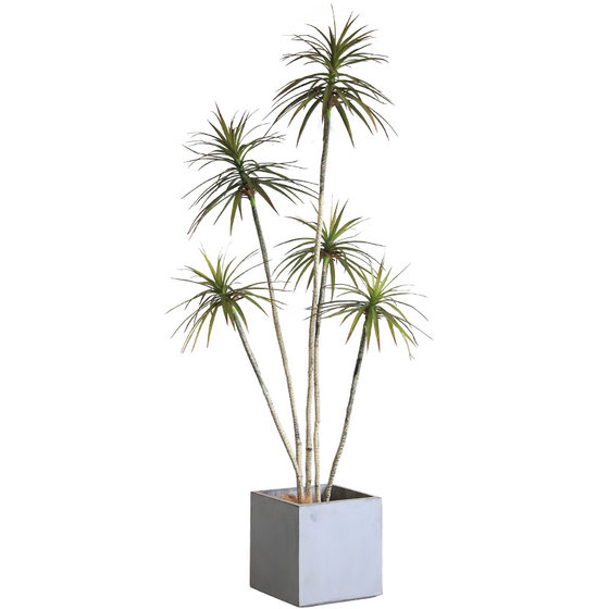 Simulated dragon blood tree with clipped leaves and horsetail iron fake tree potted plant