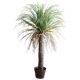 Nordic simulated Moroccan agave green plant potted plant