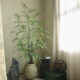 Simulated Jiuli fern leaf potted fake green plant ornaments