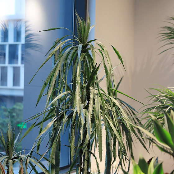 Simulated agave green plants decorative potted plants for landscaping