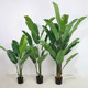 Simulated traveler banana potted indoor green plants for landscaping decoration