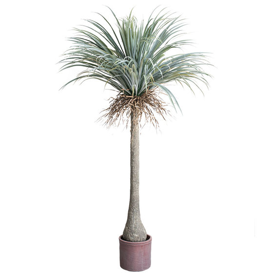 Simulated orchid tree green plant potted plant artificial tree ornaments